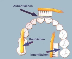 Zahnpflege mit System